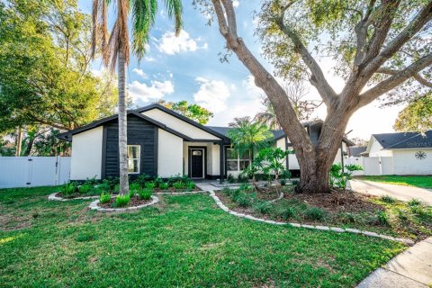 Villa ou maison à vendre à Riverview, Floride: 5 chambres, 197.88 m2 № 1582448 - photo 1