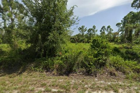Terrain à vendre à Punta Gorda, Floride № 2232690 - photo 3