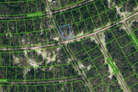 Land in Lake Placid, Florida № 2164187