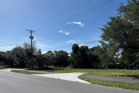 Terrain à vendre à Apopka, Floride № 2214137 - photo 6