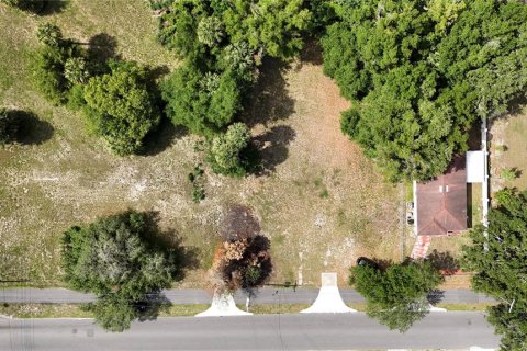 Terrain à vendre à Apopka, Floride № 2214137 - photo 5