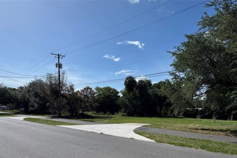 Terrain à vendre à Apopka, Floride № 2214137 - photo 4