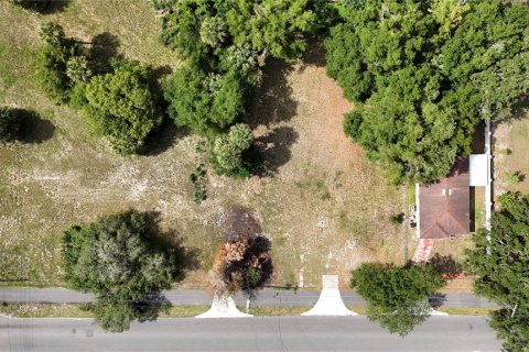 Terrain à Apopka, Floride № 2214137