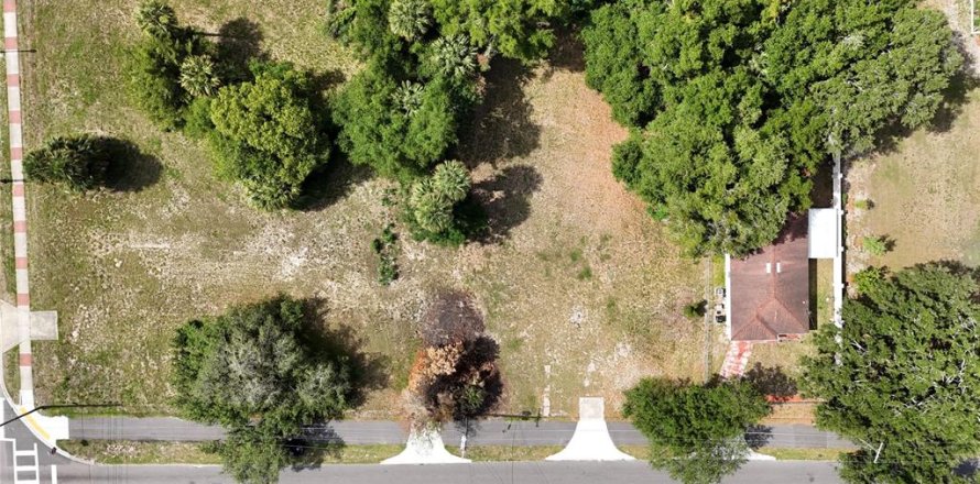 Terrain à Apopka, Floride № 2214137