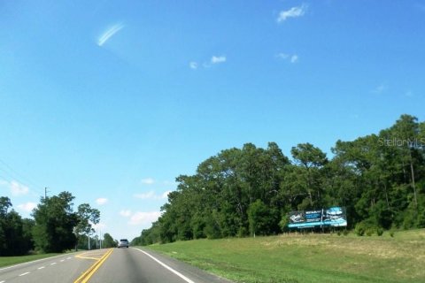 Immobilier commercial à vendre à Dunnellon, Floride № 2298626 - photo 6