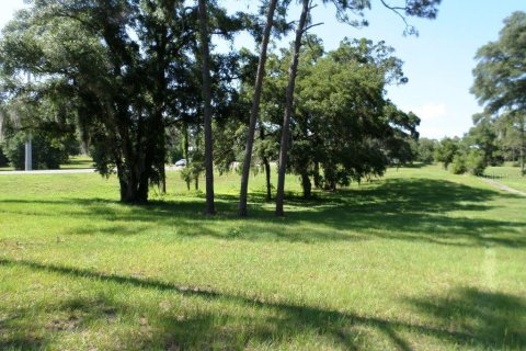 Immobilier commercial à vendre à Dunnellon, Floride № 2298626 - photo 21