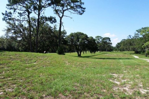 Immobilier commercial à vendre à Dunnellon, Floride № 2298626 - photo 18