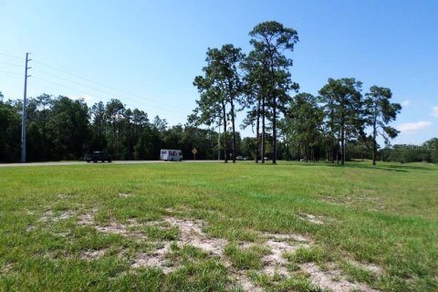 Immobilier commercial à vendre à Dunnellon, Floride № 2298626 - photo 11
