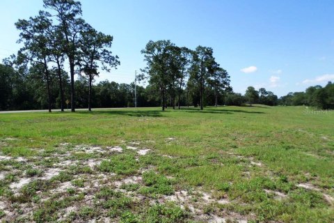 Immobilier commercial à vendre à Dunnellon, Floride № 2298626 - photo 14
