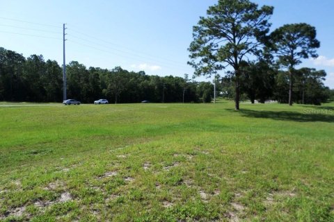 Immobilier commercial à vendre à Dunnellon, Floride № 2298626 - photo 19