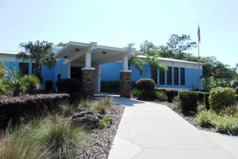 Immobilier commercial à vendre à Dunnellon, Floride № 2298626 - photo 3