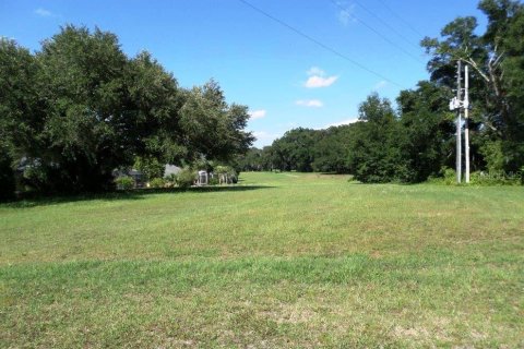 Immobilier commercial à vendre à Dunnellon, Floride № 2298626 - photo 22