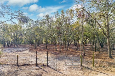 Land in Plant City, Florida № 1559398 - photo 1