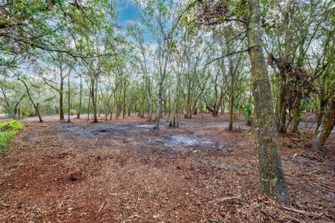 Land in Plant City, Florida № 1559398 - photo 2