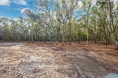 Land in Plant City, Florida № 1559398 - photo 3