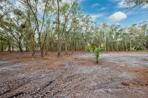 Land in Plant City, Florida № 1559398 - photo 4