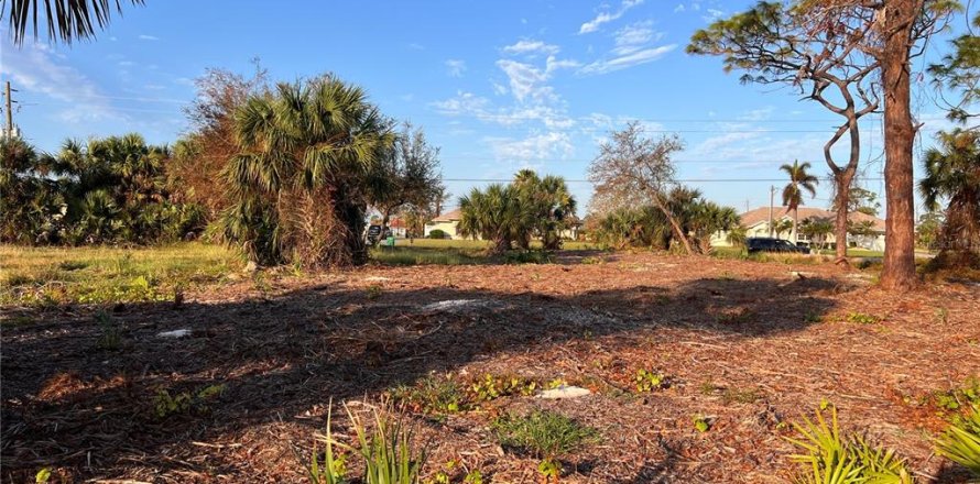 Land in Rotonda, Florida № 1424372