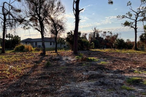 Land in Rotonda, Florida № 1424372 - photo 13