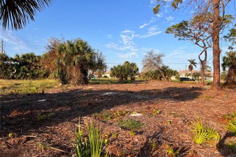 Land in Rotonda, Florida № 1424372 - photo 4