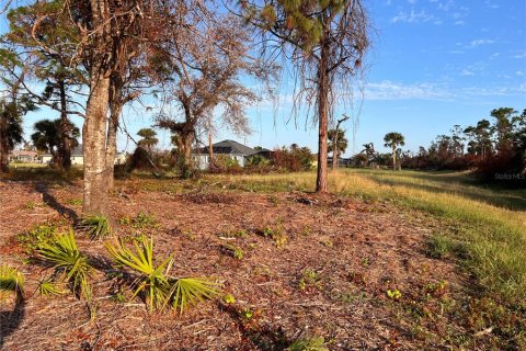 Land in Rotonda, Florida № 1424372 - photo 11