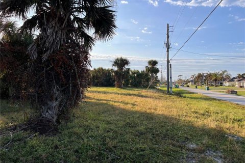 Land in Rotonda, Florida № 1424372 - photo 6