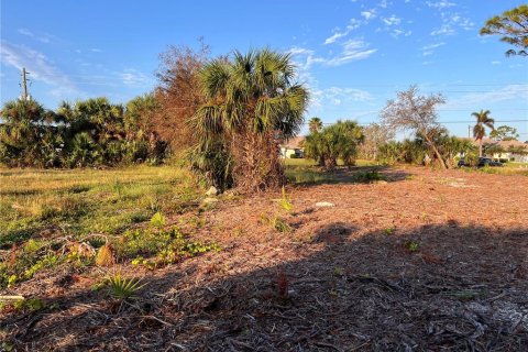 Land in Rotonda, Florida № 1424372 - photo 10