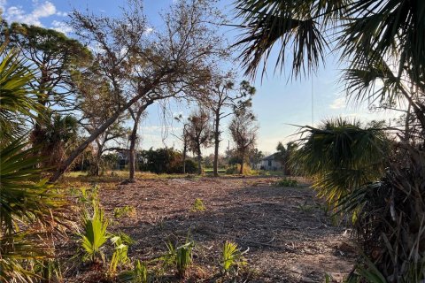 Land in Rotonda, Florida № 1424372 - photo 15
