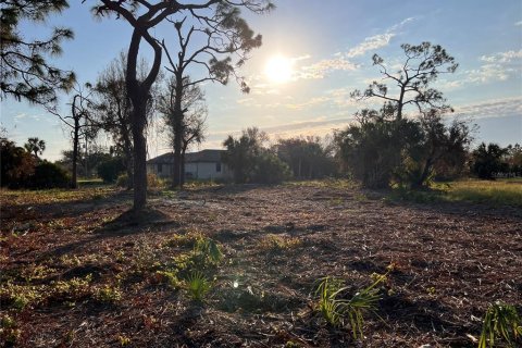 Land in Rotonda, Florida № 1424372 - photo 14