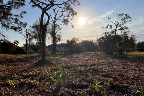 Land in Rotonda, Florida № 1424372 - photo 7