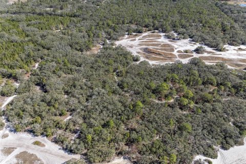 Terrain à vendre à Hudson, Floride № 1568320 - photo 3