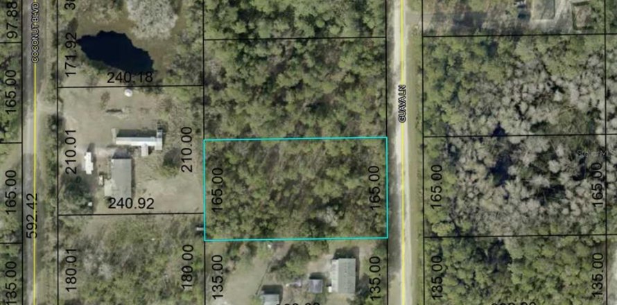 Terreno en Bunnell, Florida № 1585779