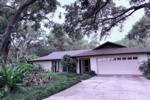 Villa ou maison à vendre à Temple Terrace, Floride: 5 chambres, 231.05 m2 № 1815009 - photo 1