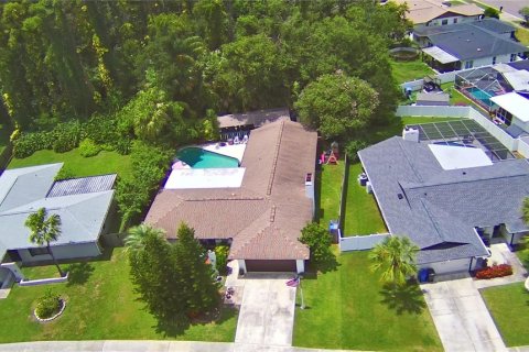 Villa ou maison à vendre à Tampa, Floride: 5 chambres, 204.38 m2 № 1873452 - photo 4