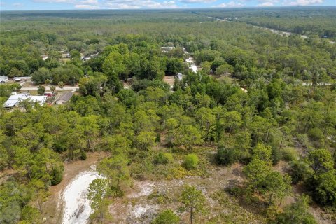 Land in Weeki Wachee, Florida № 2159003 - photo 4