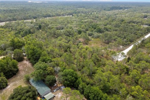 Land in Weeki Wachee, Florida № 2159003 - photo 9