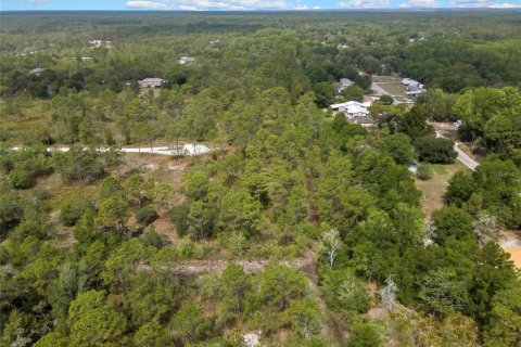 Land in Weeki Wachee, Florida № 2159003 - photo 7