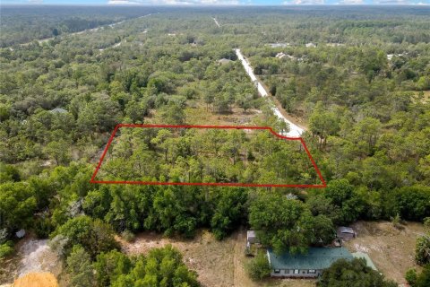 Land in Weeki Wachee, Florida № 2159003 - photo 3