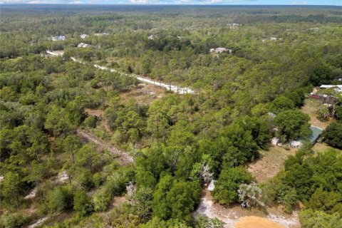 Land in Weeki Wachee, Florida № 2159003 - photo 8
