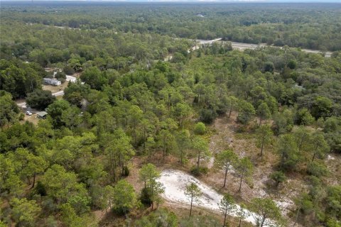 Land in Weeki Wachee, Florida № 2159003 - photo 5
