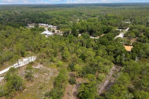 Land in Weeki Wachee, Florida № 2159003 - photo 6