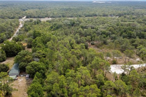 Land in Weeki Wachee, Florida № 2159003 - photo 10
