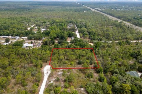 Land in Weeki Wachee, Florida № 2159003 - photo 2