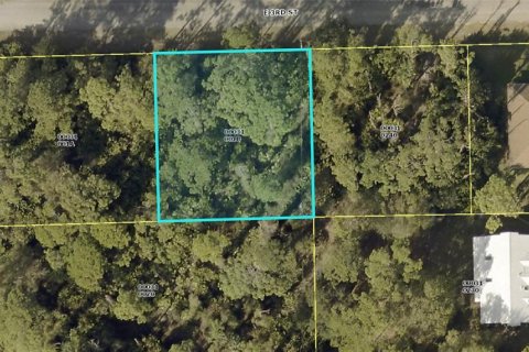 Land in Lehigh Acres, Florida № 2163311
