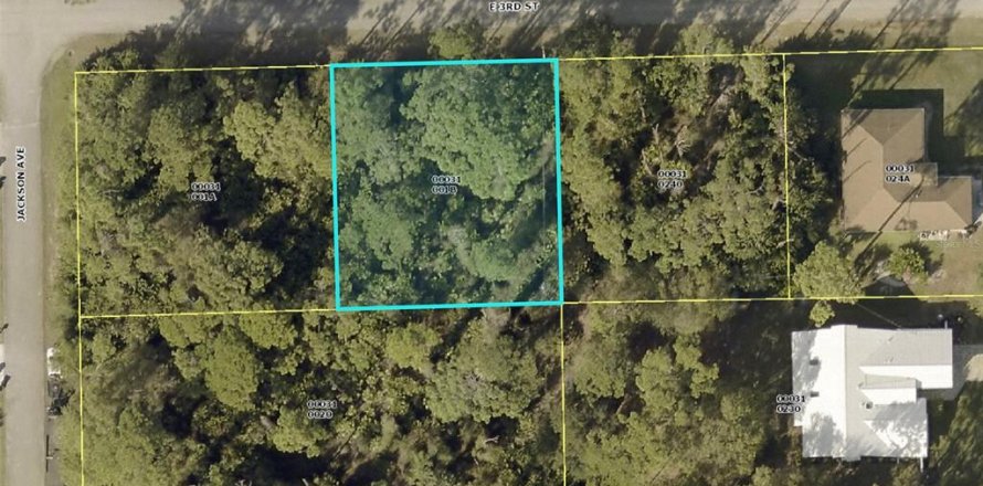 Land in Lehigh Acres, Florida № 2163311