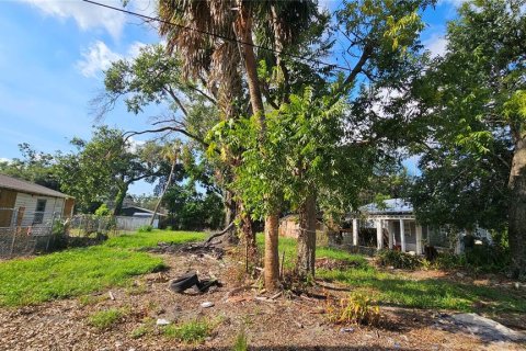 Land in Tampa, Florida № 1906353 - photo 2