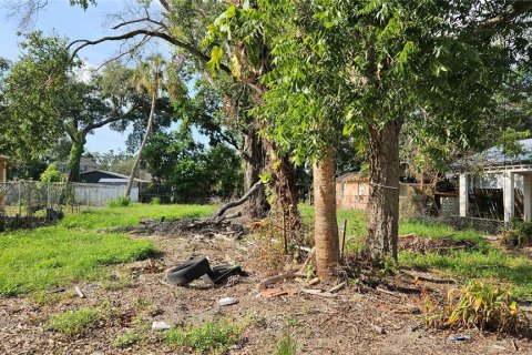 Land in Tampa, Florida № 1906353 - photo 1