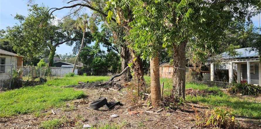 Land in Tampa, Florida № 1906353