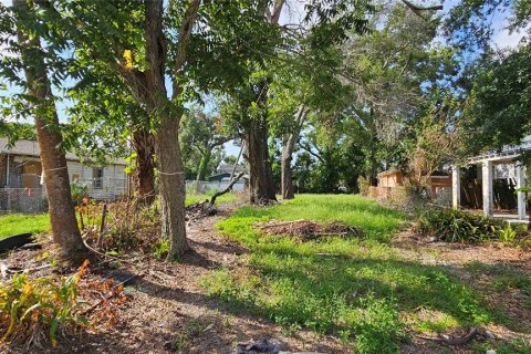 Land in Tampa, Florida № 1906353 - photo 3