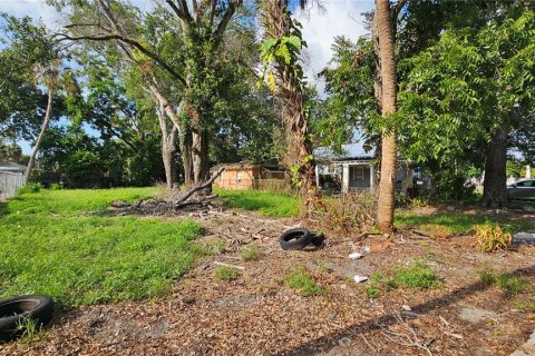 Land in Tampa, Florida № 1906353 - photo 4
