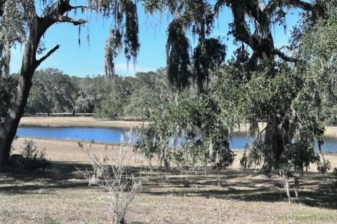Terreno en venta en Dunnellon, Florida № 1512231 - foto 4